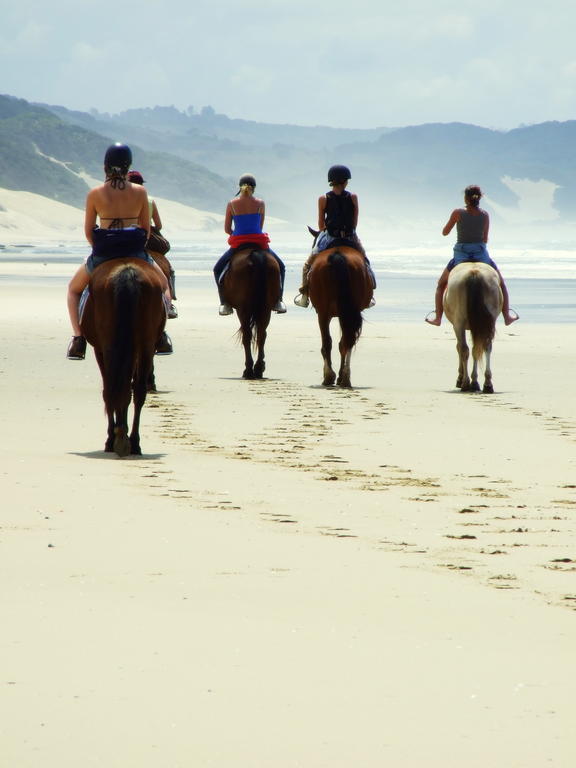 Buccaneers Beach Lodge, Chintsa, South Africa المظهر الخارجي الصورة
