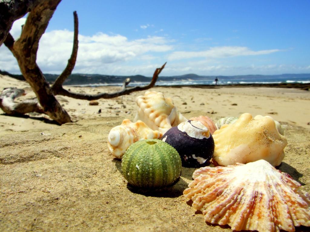 Buccaneers Beach Lodge, Chintsa, South Africa المظهر الخارجي الصورة