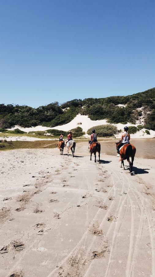 Buccaneers Beach Lodge, Chintsa, South Africa المظهر الخارجي الصورة